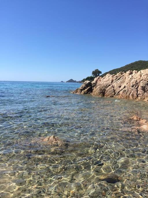 F2 Vue Mer Dans Residence Avec Piscine Ajaccio  Exterior photo