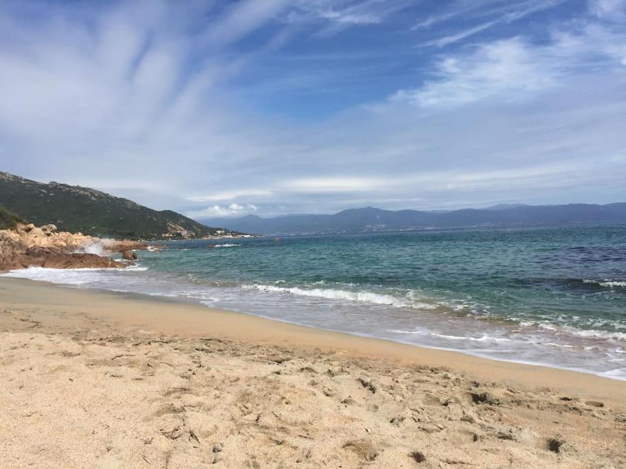 F2 Vue Mer Dans Residence Avec Piscine Ajaccio  Exterior photo