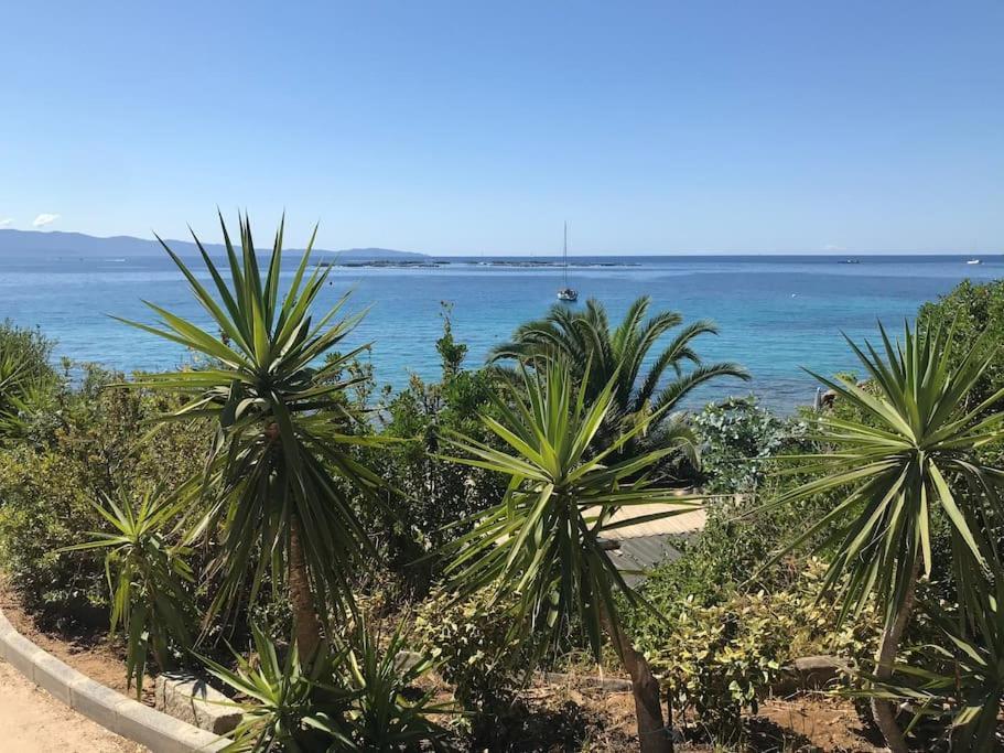 F2 Vue Mer Dans Residence Avec Piscine Ajaccio  Exterior photo